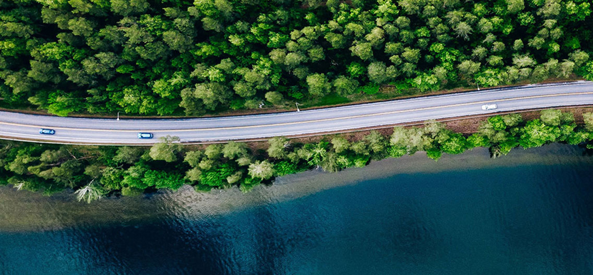 Image of Carbon Net Zero Strategy