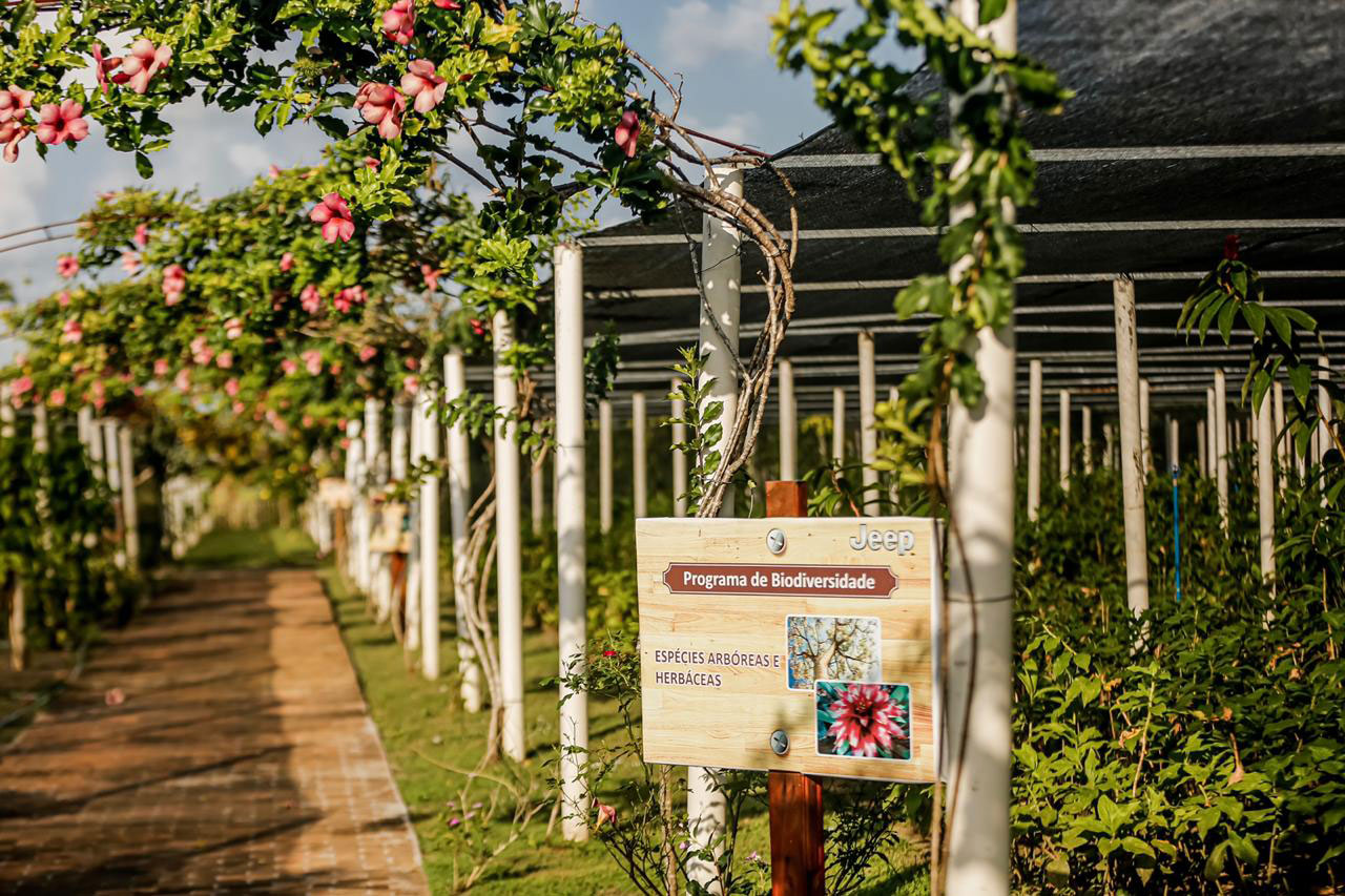 Image of Biodiversity program Goiana Plant