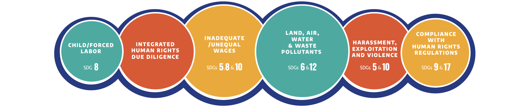 Child or Forced Labor - Sustainable Development Goal (SDG) 8; Integrated Human Rights Due Diligence; Inadequate or Unequal Wages - SDGs 5, 8 and 10; Land, Air, Water and Waste Pollutants - SDGs 6 and 12; Harassment, Exploitation and Violence – SDGs 5 and 10; Compliance with Human Rights Regulations - SDGs 9 and 17. 