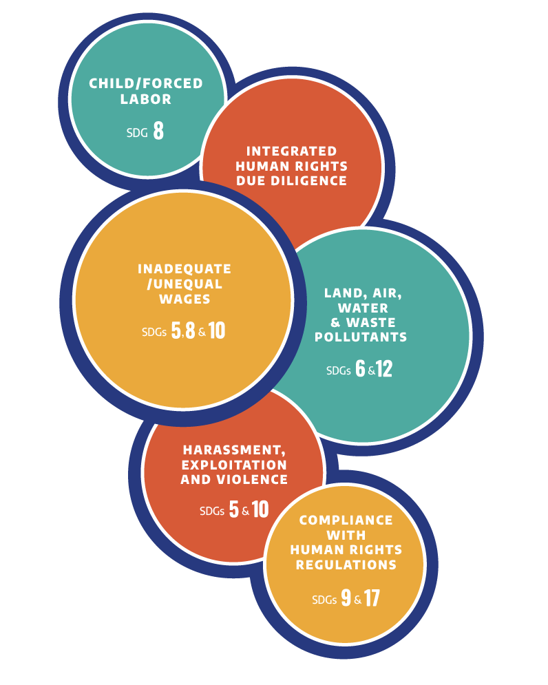 Child or Forced Labor - Sustainable Development Goal (SDG) 8; Integrated Human Rights Due Diligence; Inadequate or Unequal Wages - SDGs 5, 8 and 10; Land, Air, Water and Waste Pollutants - SDGs 6 and 12; Harassment, Exploitation and Violence – SDGs 5 and 10; Compliance with Human Rights Regulations - SDGs 9 and 17. 