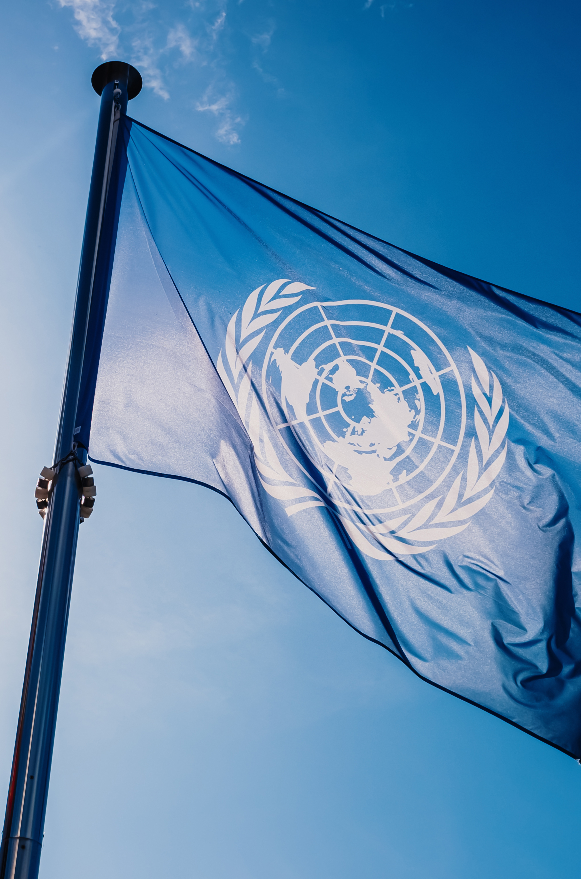 United Nations flag